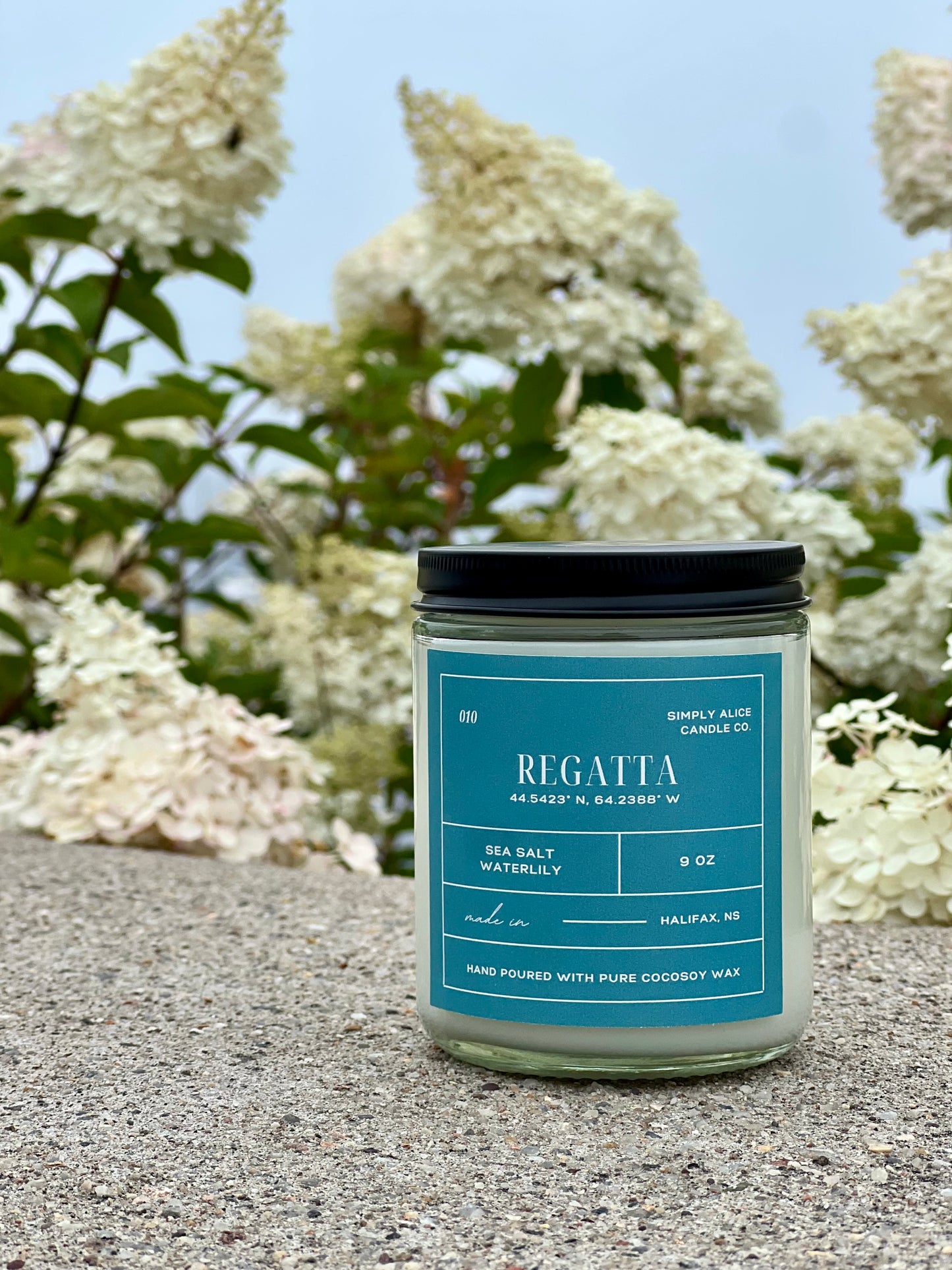 regatta